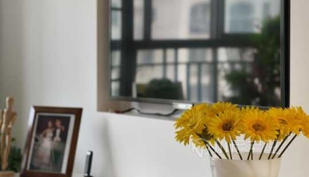 110㎡/两室两厅两卫/田园 110㎡/两室两厅两卫/田园